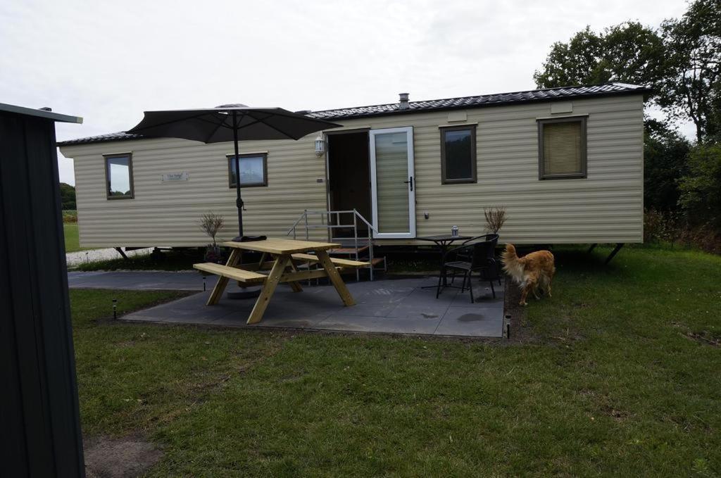 Weerribben Chalets Ξενοδοχείο Paasloo Εξωτερικό φωτογραφία